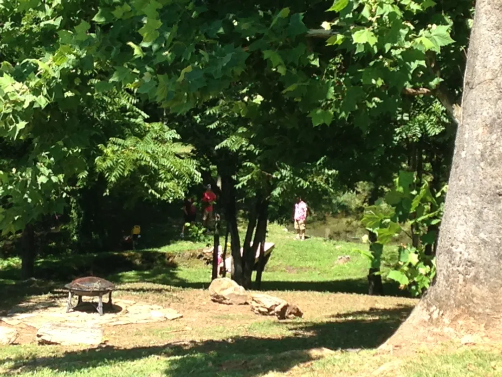 Byrd's Branch Campground