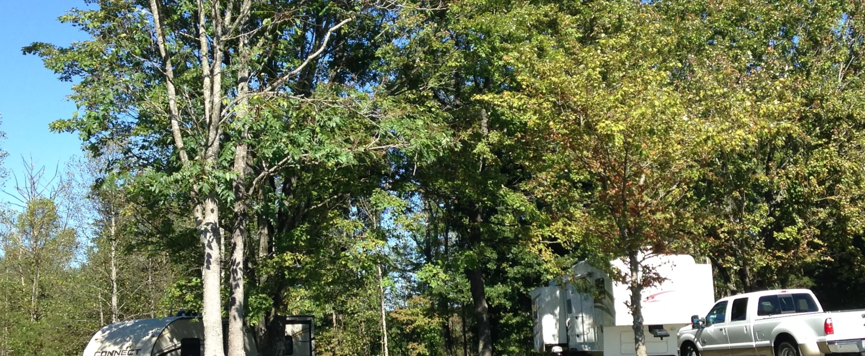 Byrd's Branch Campground