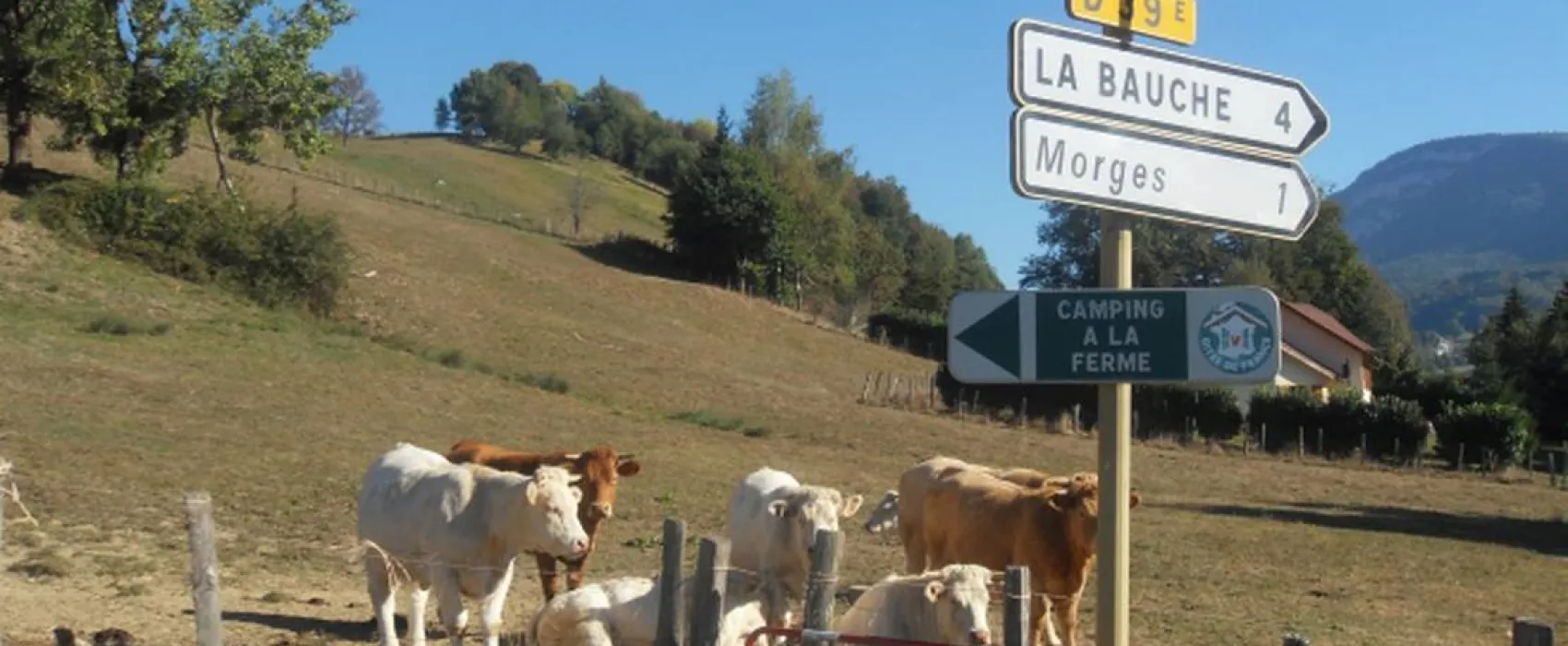 Camping du Bois de la Teppe à Saint Franc