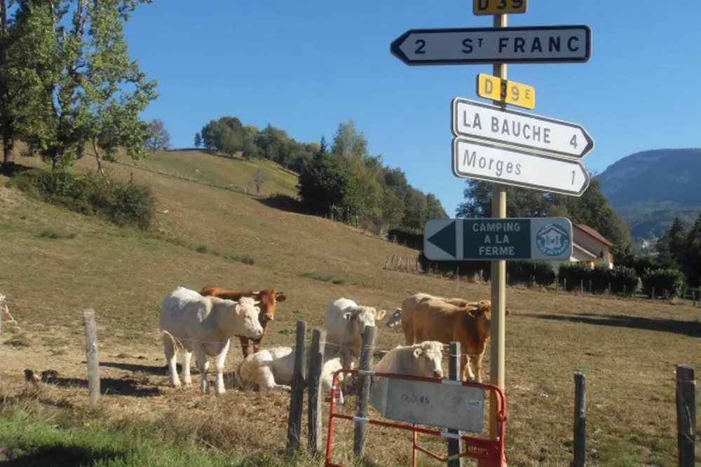 Camping du Bois de la Teppe à Saint Franc