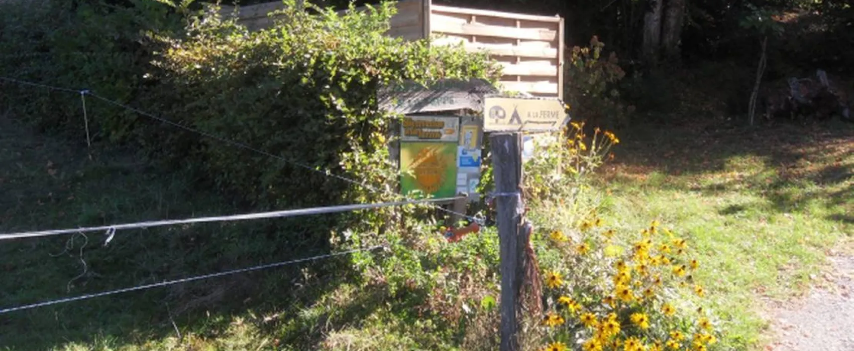Camping du Bois de la Teppe à Saint Franc