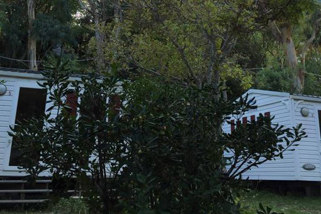 Camping Les Orangers photo 2