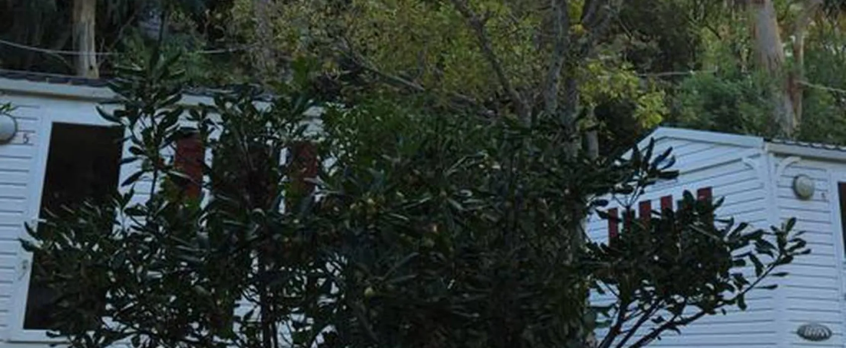 Camping Les Orangers