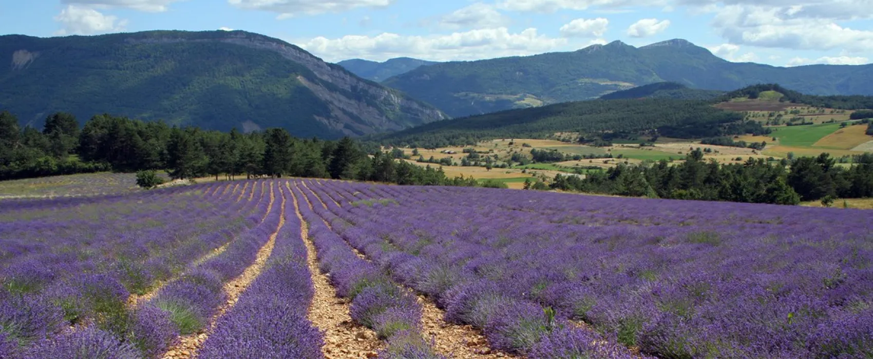 Yelloh! Village le Domaine Provençal