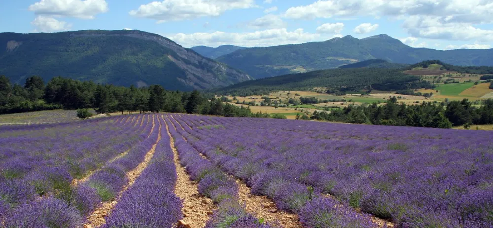 Yelloh! Village le Domaine Provençal