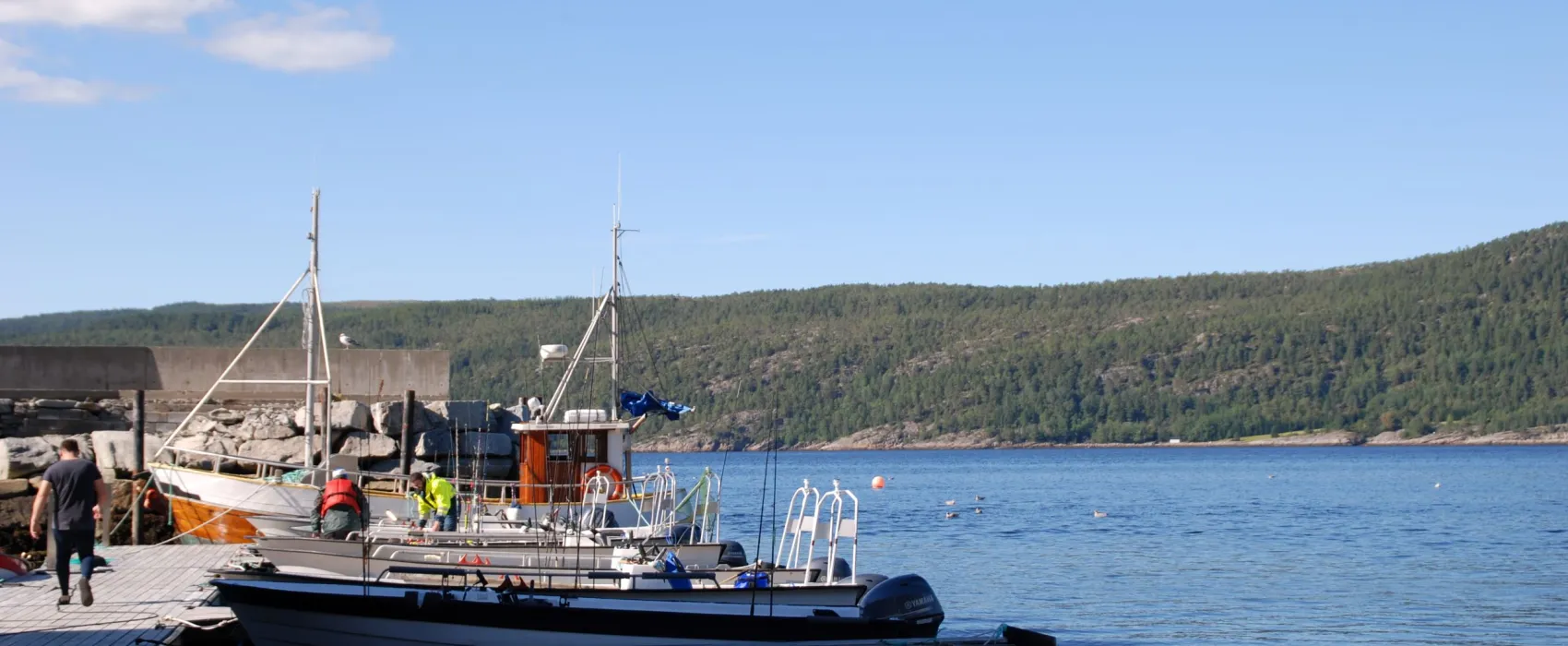 Bjørkvik Hytteutleie og camping