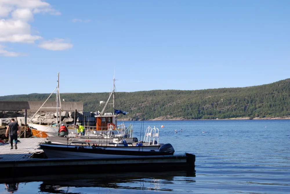 Bjørkvik Hytteutleie og camping