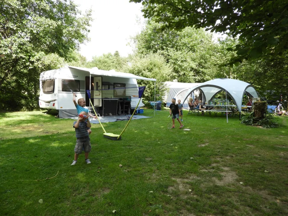 Spineuse Neufchâteau