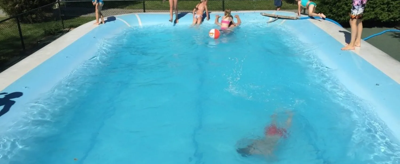 Spineuse Neufchâteau