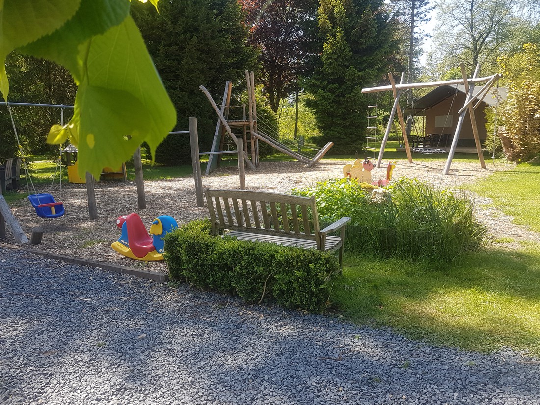 Spineuse Neufchâteau - Photo 2
