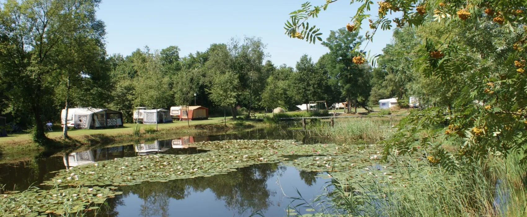 Natuurkampeerterrein De Meenthe