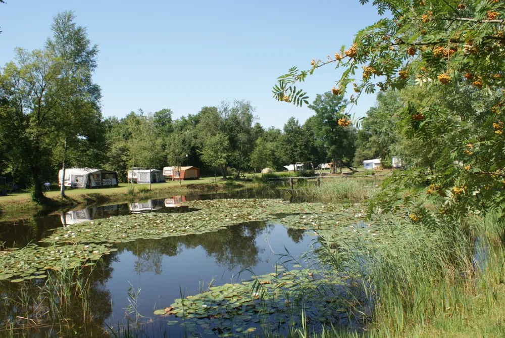 Natuurkampeerterrein De Meenthe