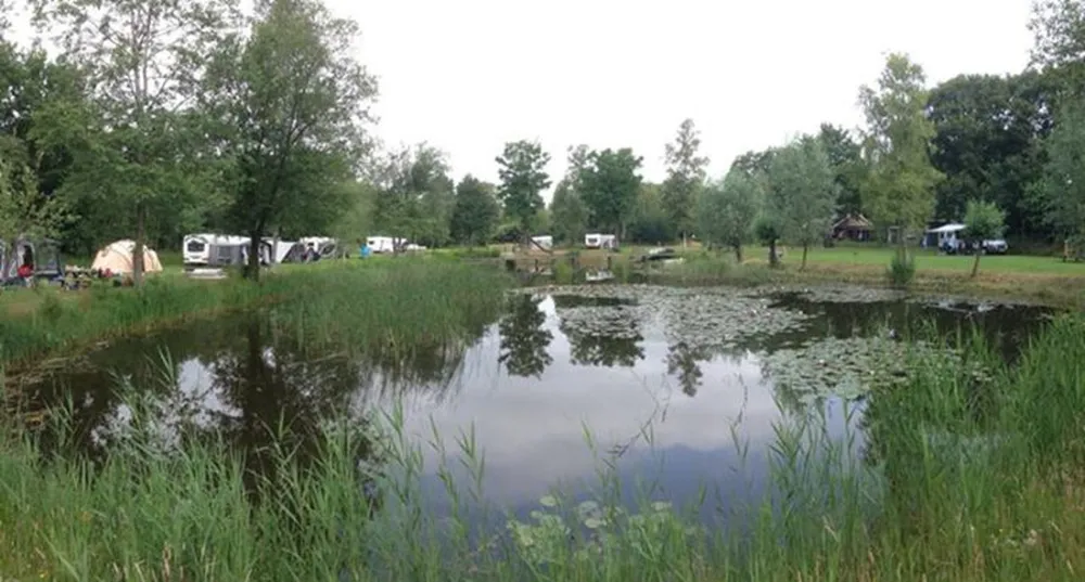 Natuurkampeerterrein De Meenthe