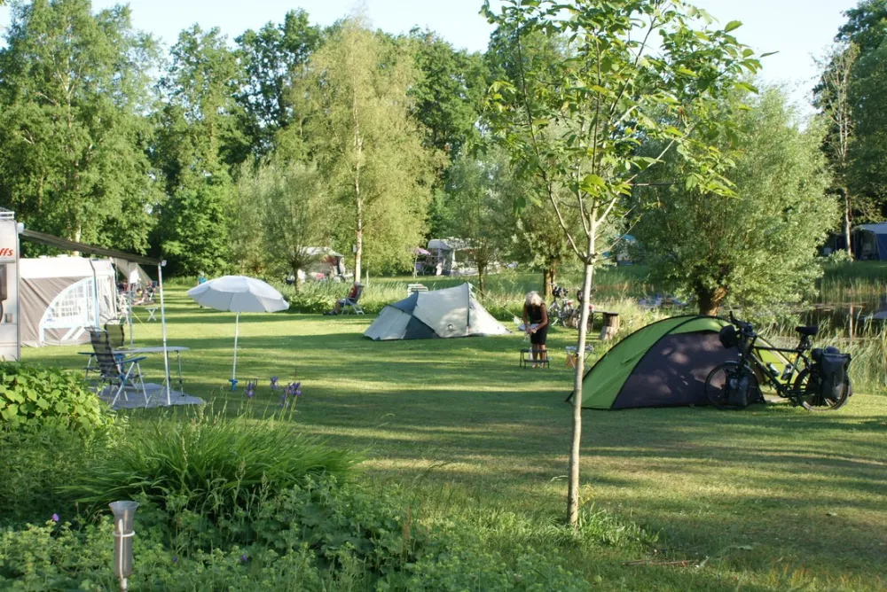 Natuurkampeerterrein De Meenthe