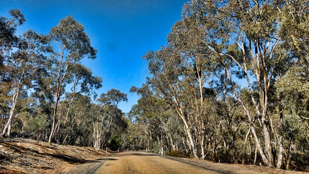 Bummaroo Ford Campground