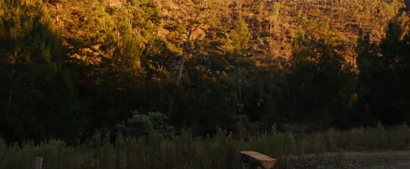 Bummaroo Ford Campground