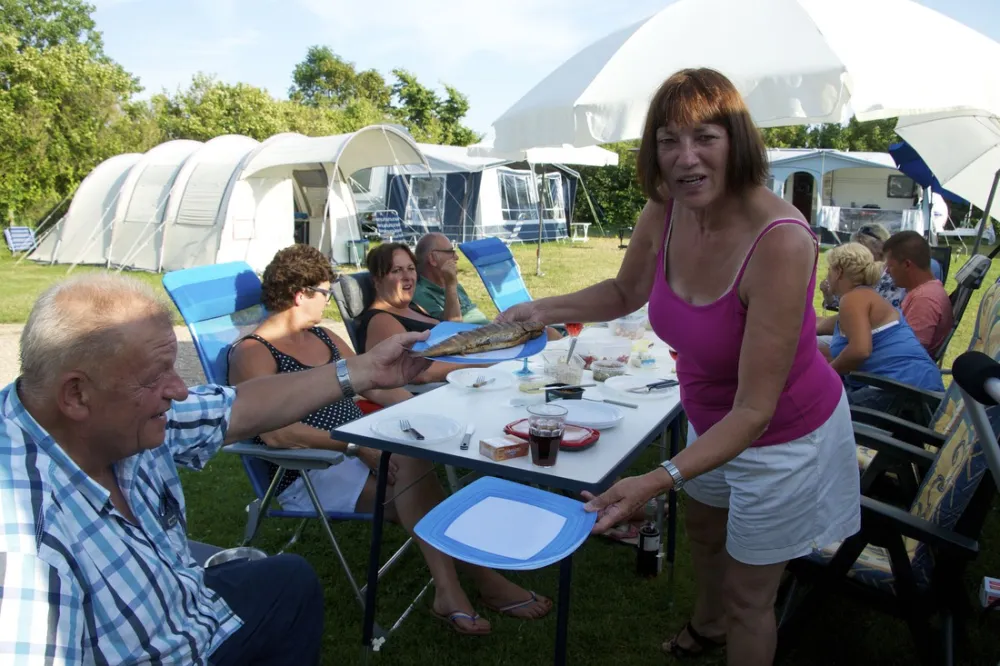 Minicamping Duinerve