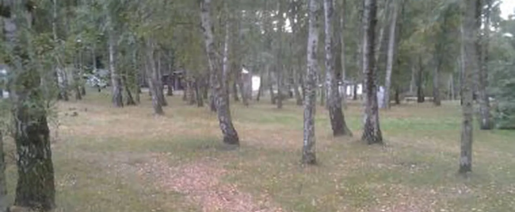 Camping Lübschützer Teiche