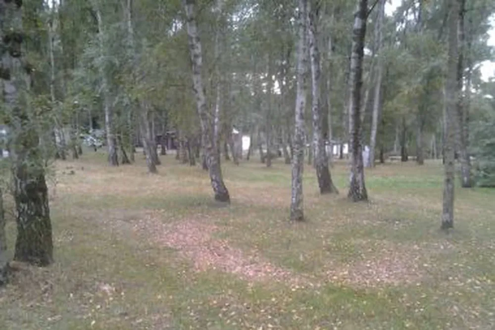 Camping Lübschützer Teiche