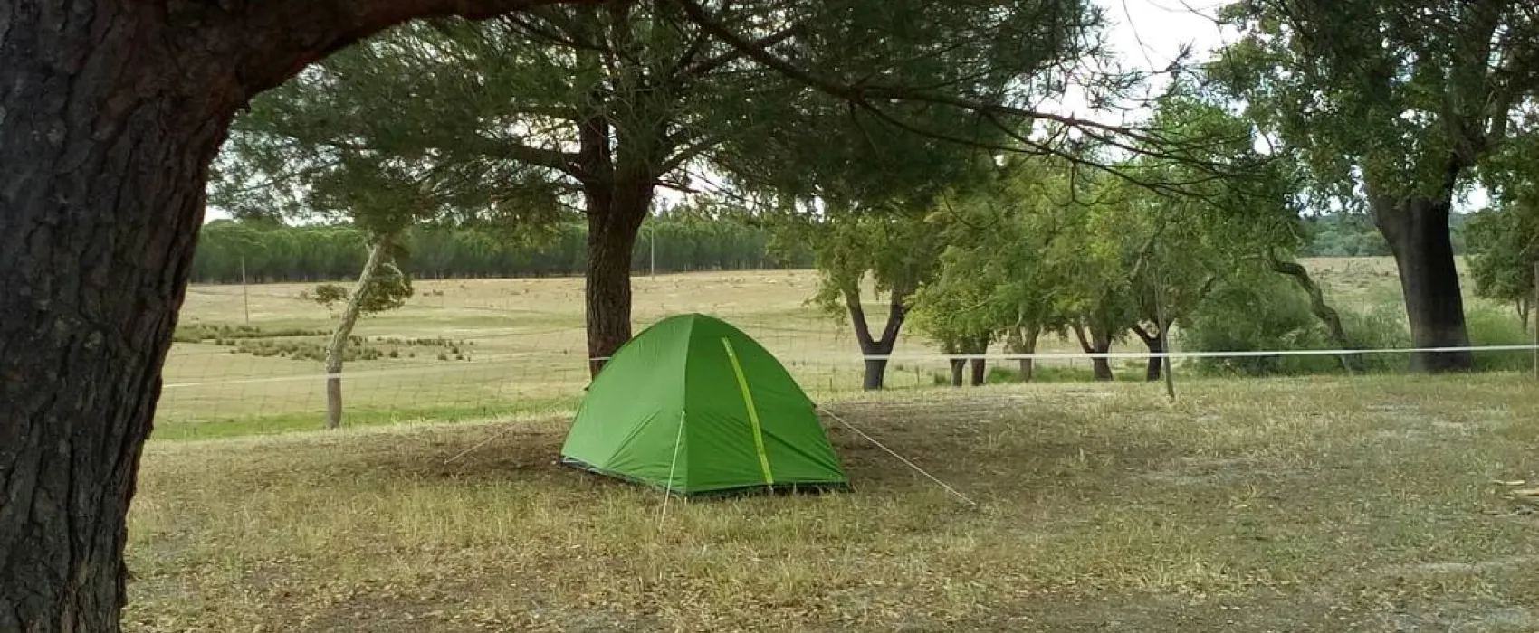 Direction South Glamping