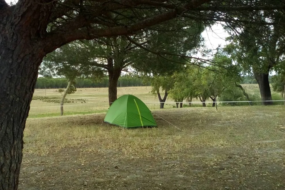 Direction South Glamping