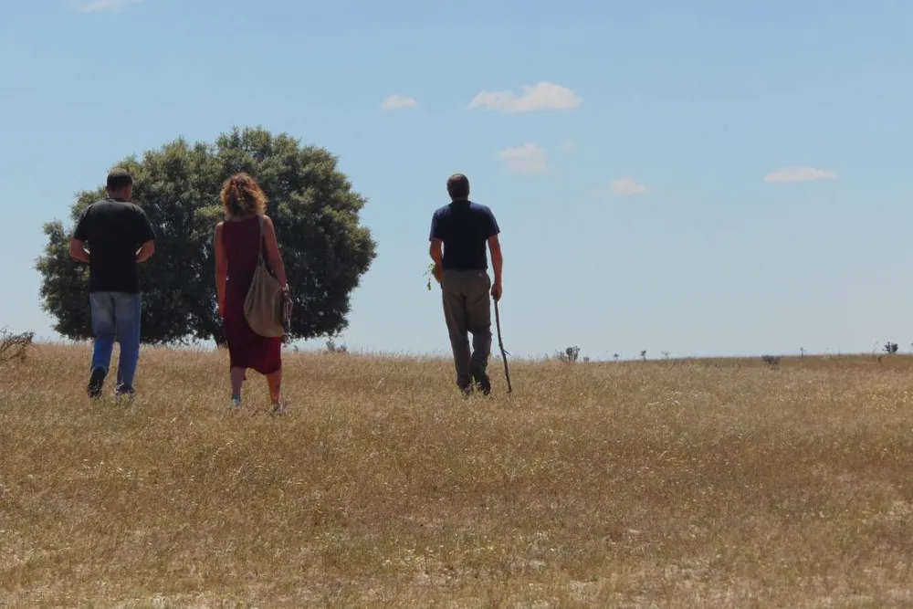 Direction South Glamping