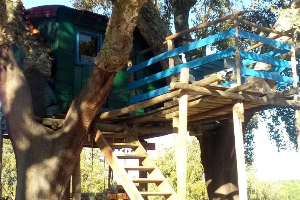 Direction South Glamping