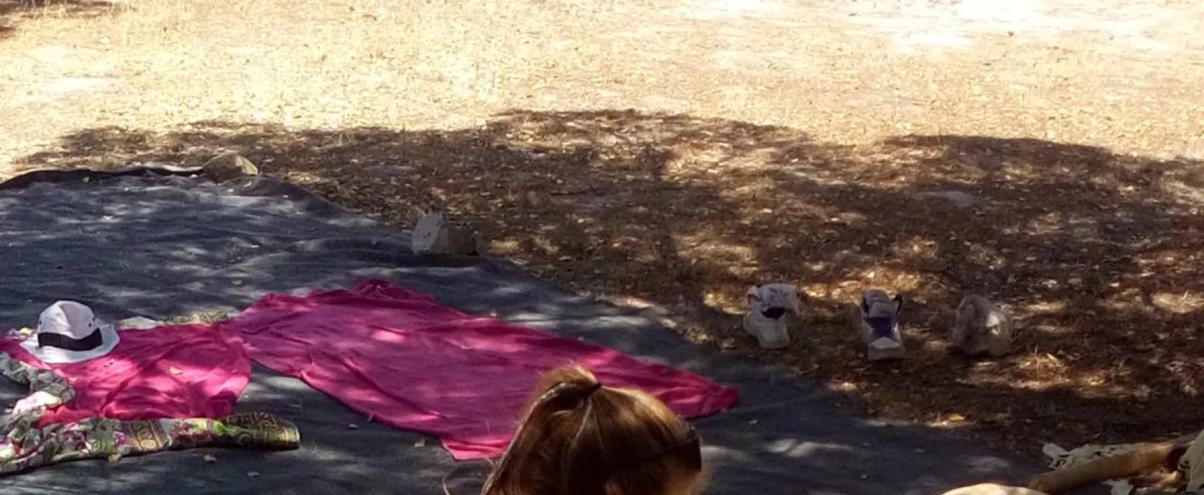 Direction South Glamping