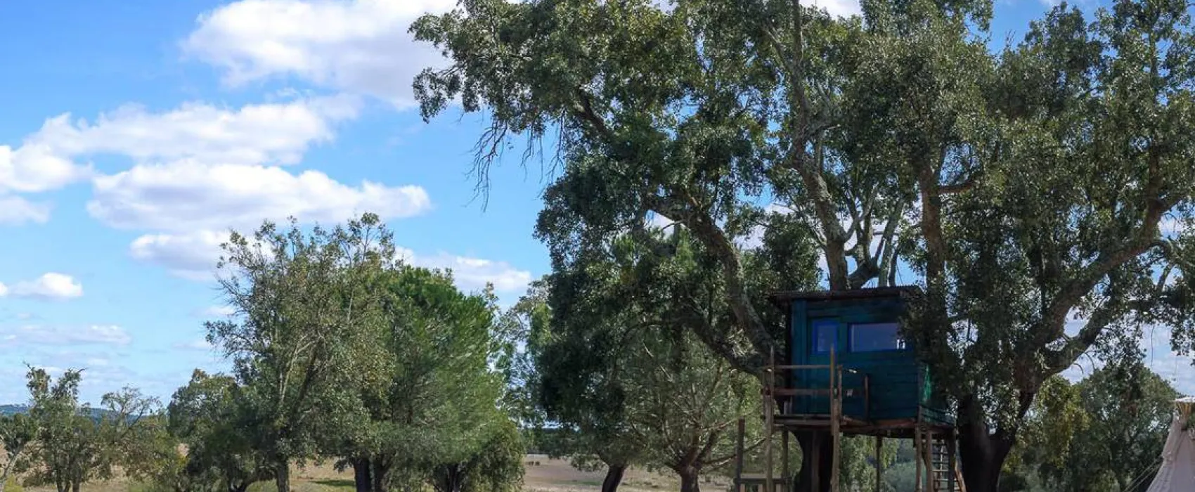 Direction South Glamping