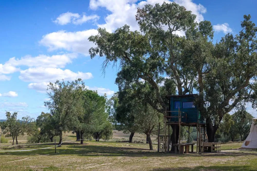 Direction South Glamping