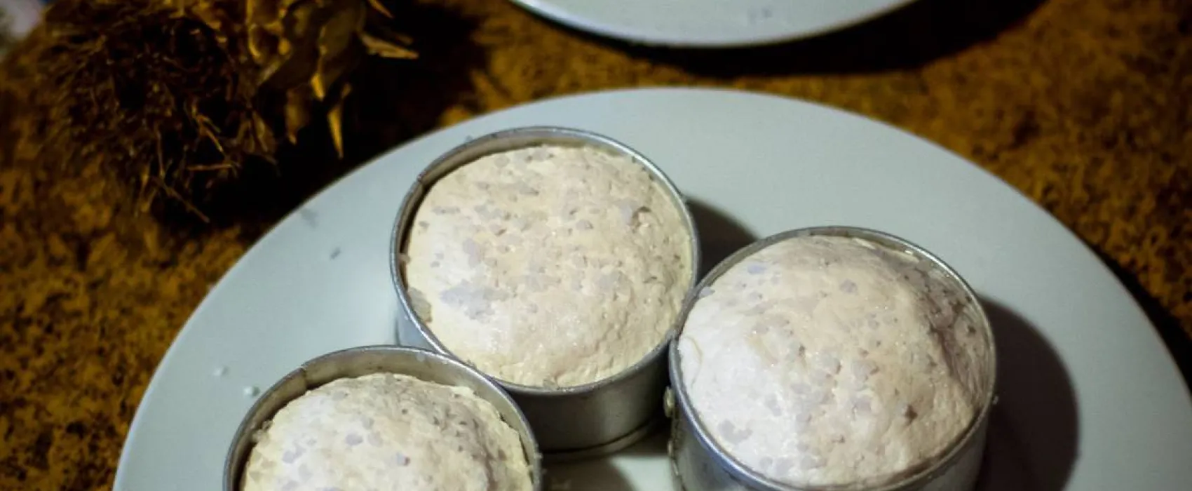 Direction South Glamping