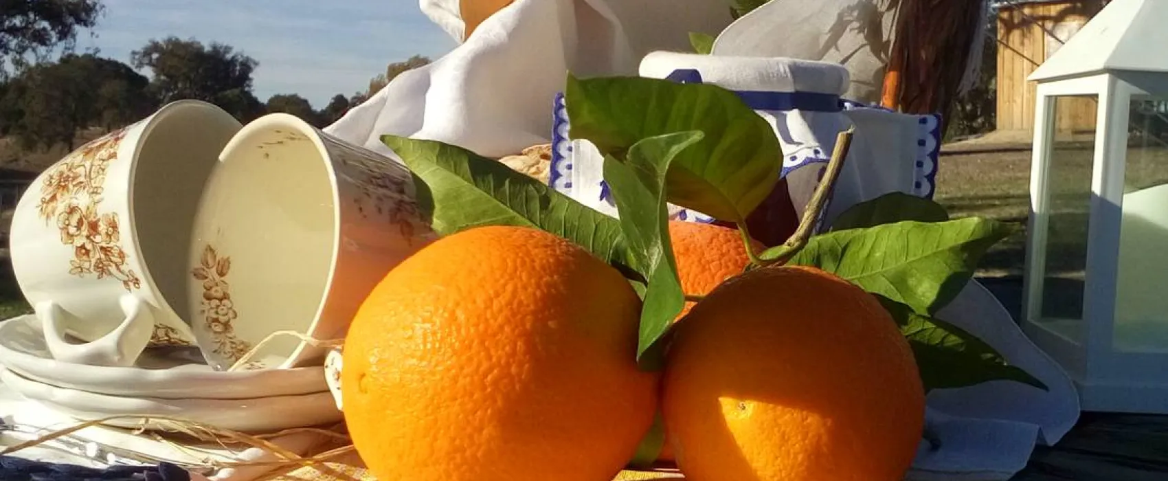 Direction South Glamping