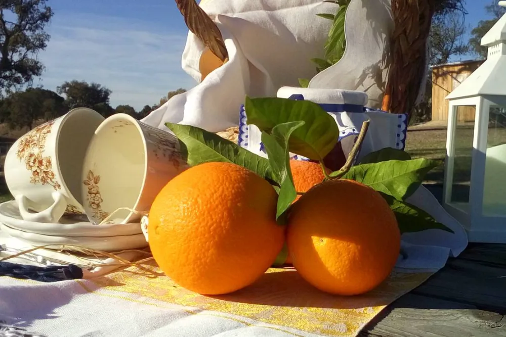 Direction South Glamping