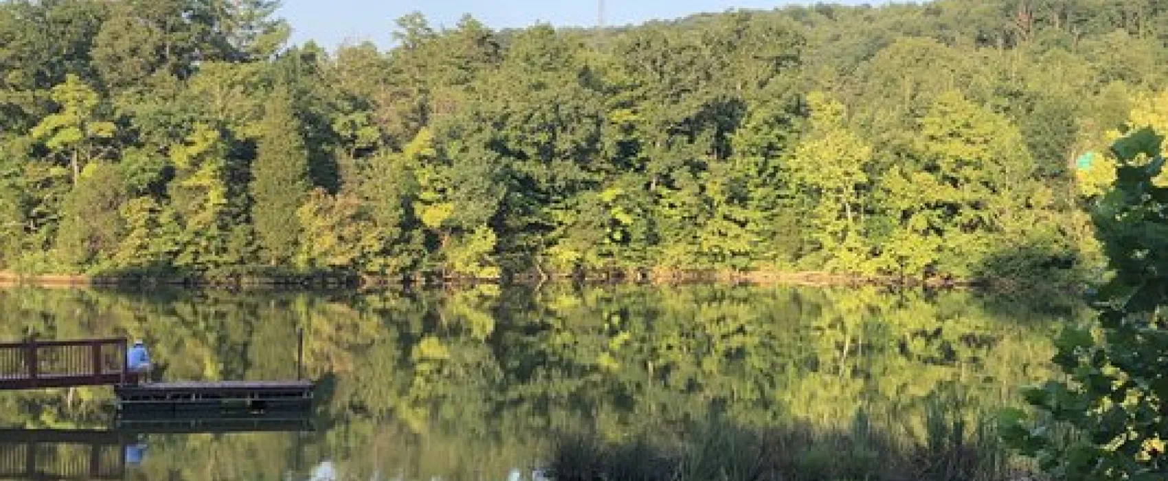 Soaring Eagle Campground