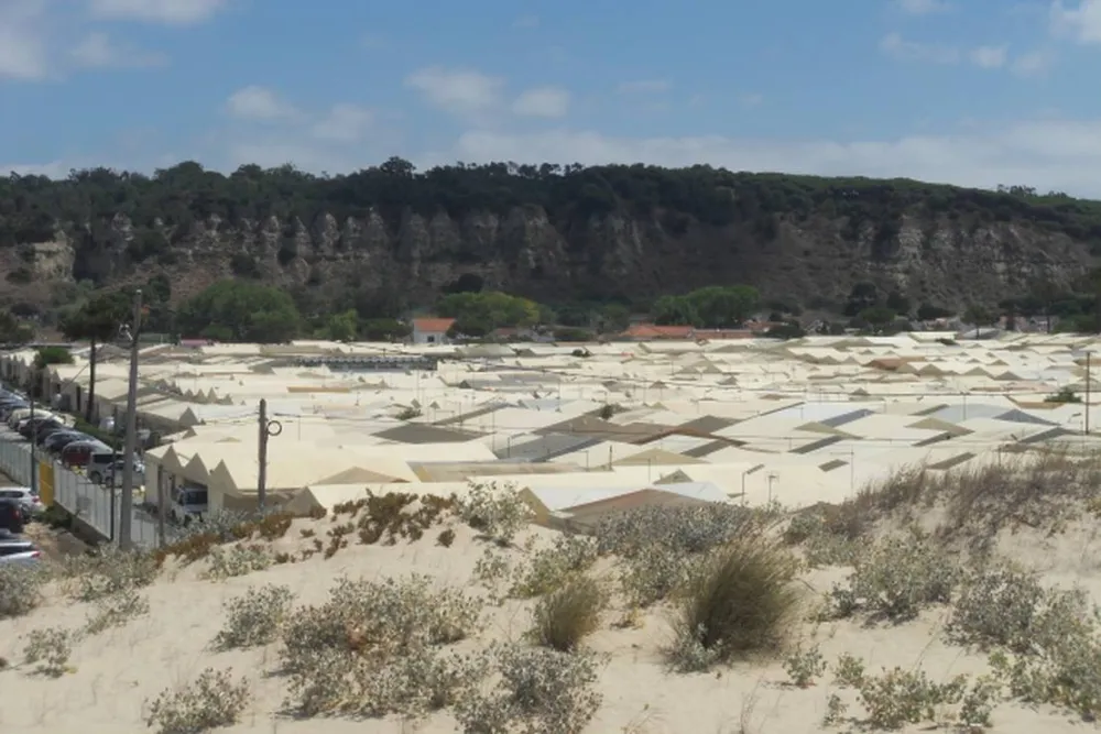 Parque de Campismo do Piedense