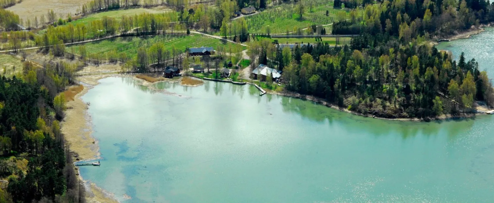 Tammiluodon Viinitilalla