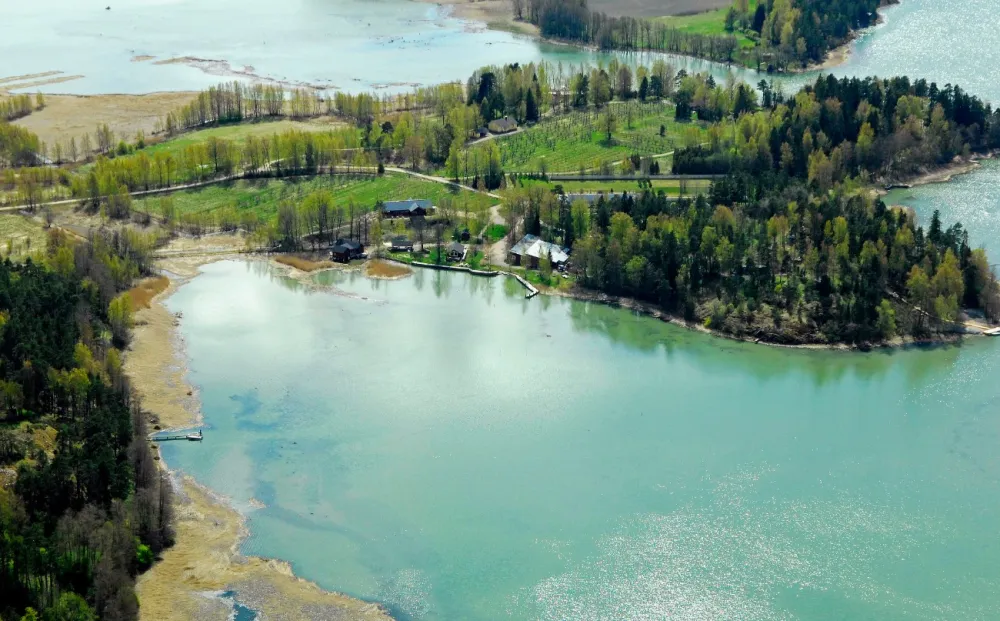 Tammiluodon Viinitilalla