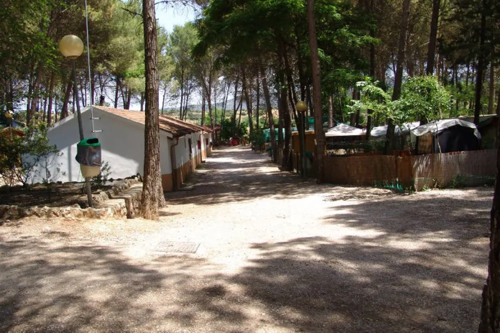 Camping Sacedón