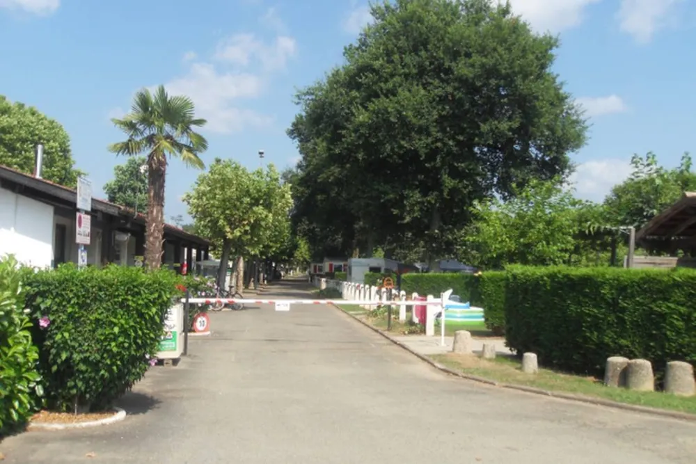 Camping Municipal Les Rives De L'adour