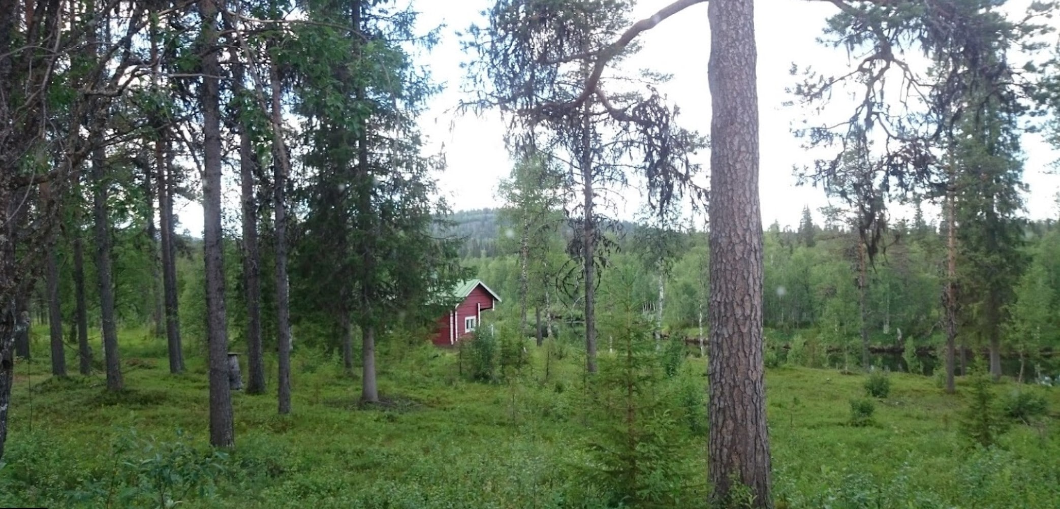 Tuntsan Pubi photo 2