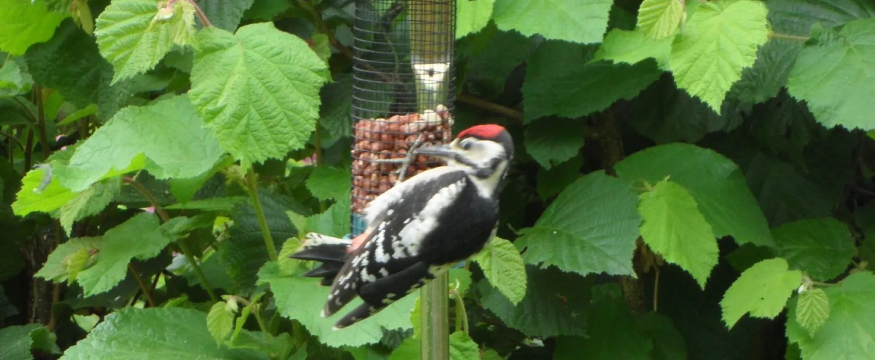 Boerderij Camping Hietkamp