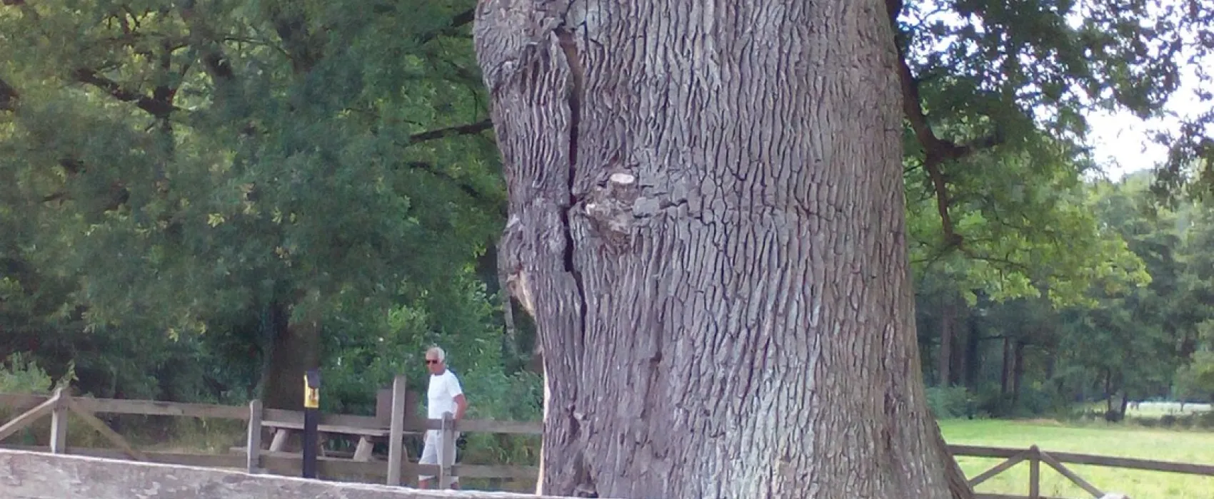 Boerderij Camping Hietkamp