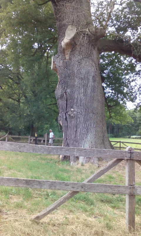 Boerderij Camping Hietkamp