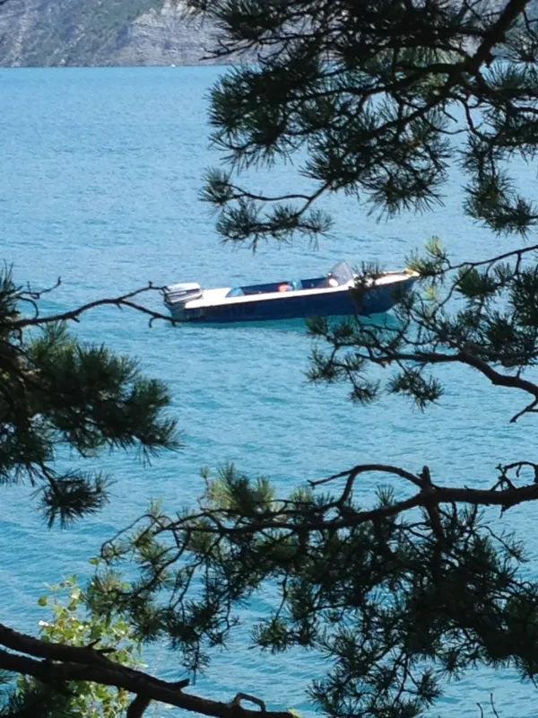 C.C.A.S. Baie des Lionnets