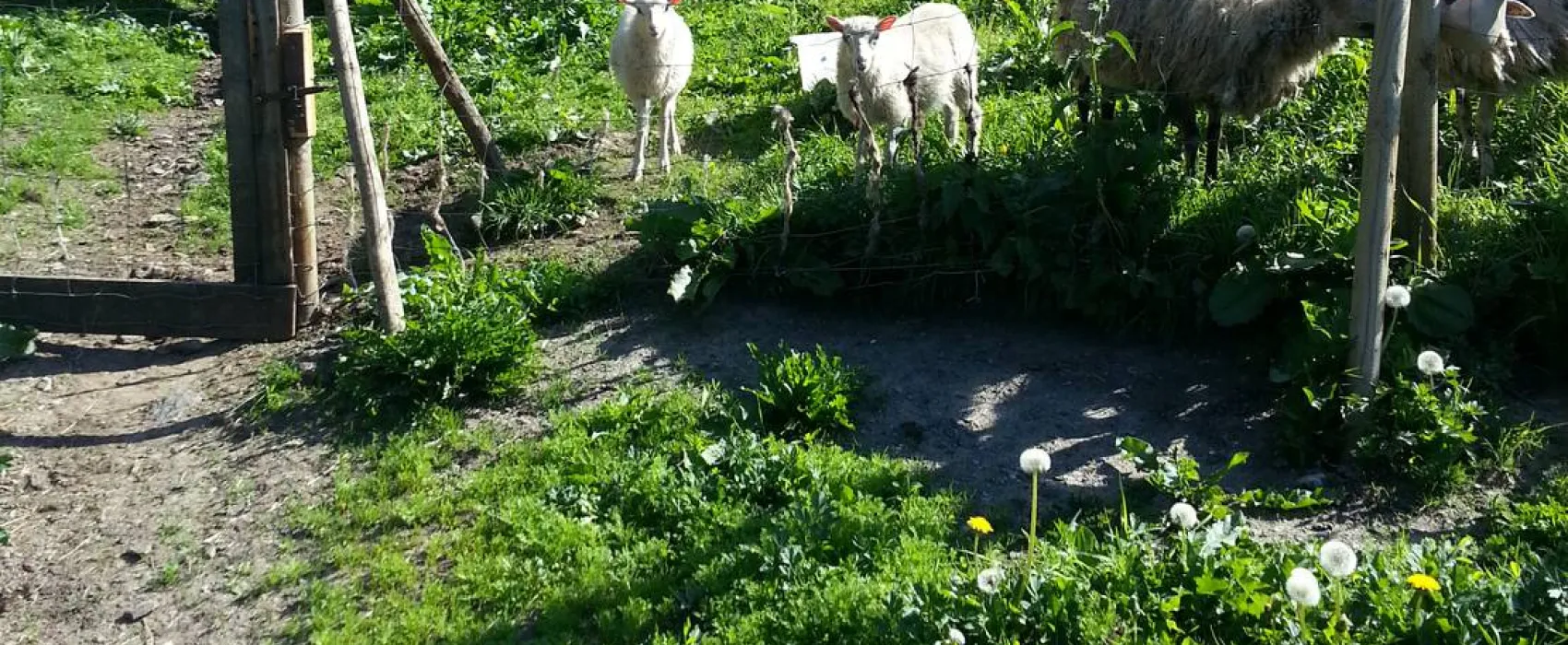 Camping Vassel Gård
