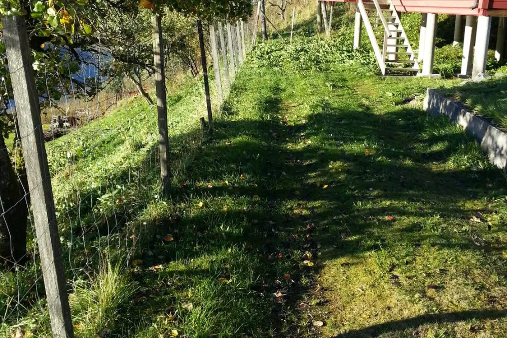 Camping Vassel Gård