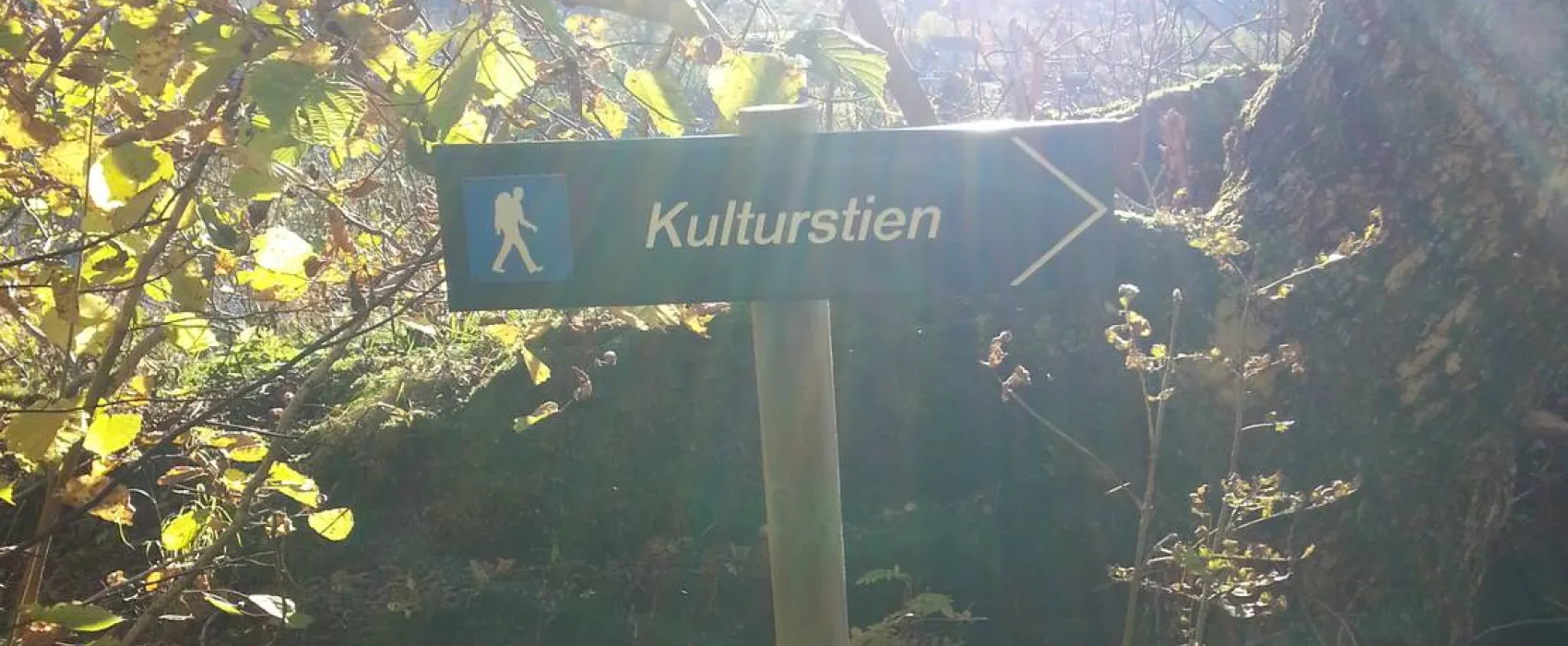 Camping Vassel Gård