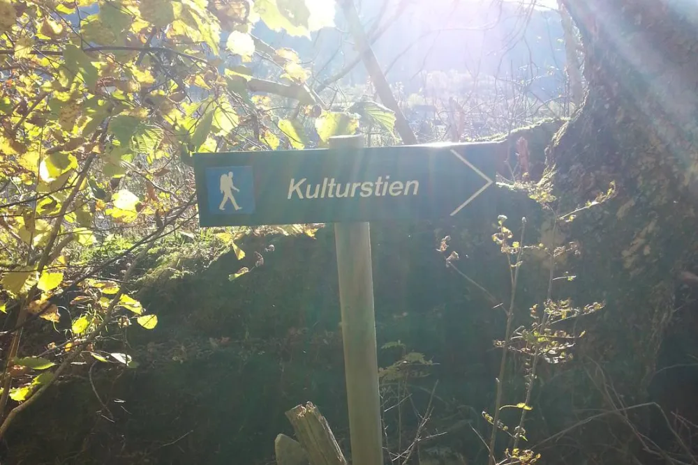 Camping Vassel Gård