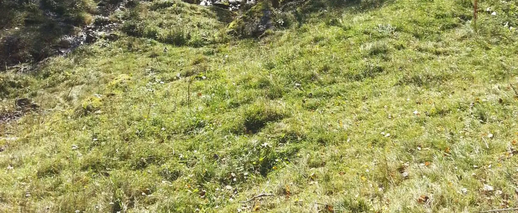 Camping Vassel Gård