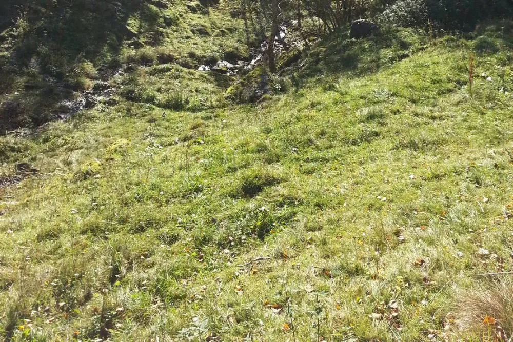 Camping Vassel Gård